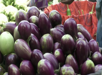 টাঙ্গাইলে সবজির দাম বাড়লো 